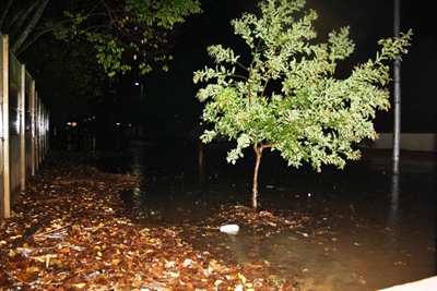 Bibberweer in vooruitsig